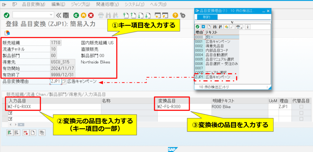 SAP-Screen-VB11-2