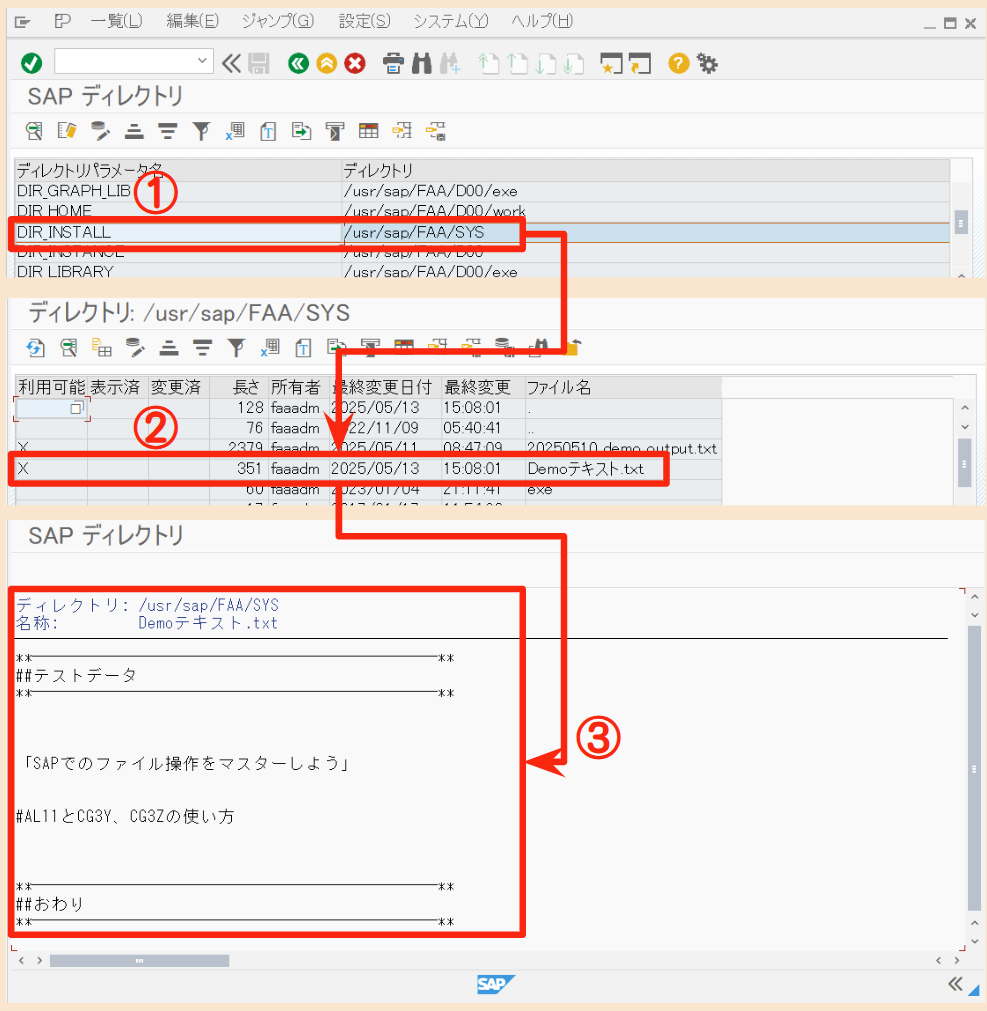 SAP AL11の操作手順