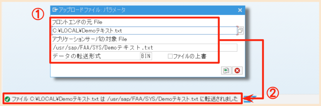 SAP CG3Zの操作手順