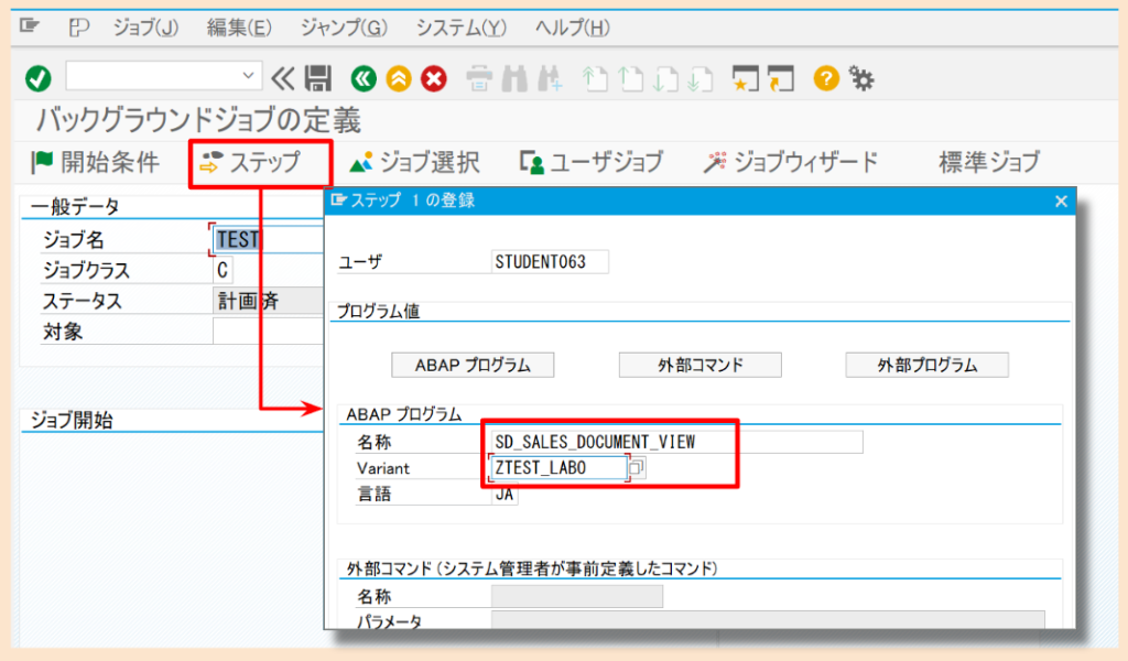 SAP 選択画面バリアントのJOB設定