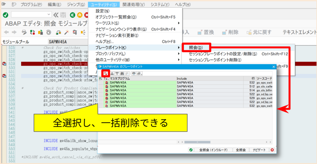 SAP ブレイクポイント